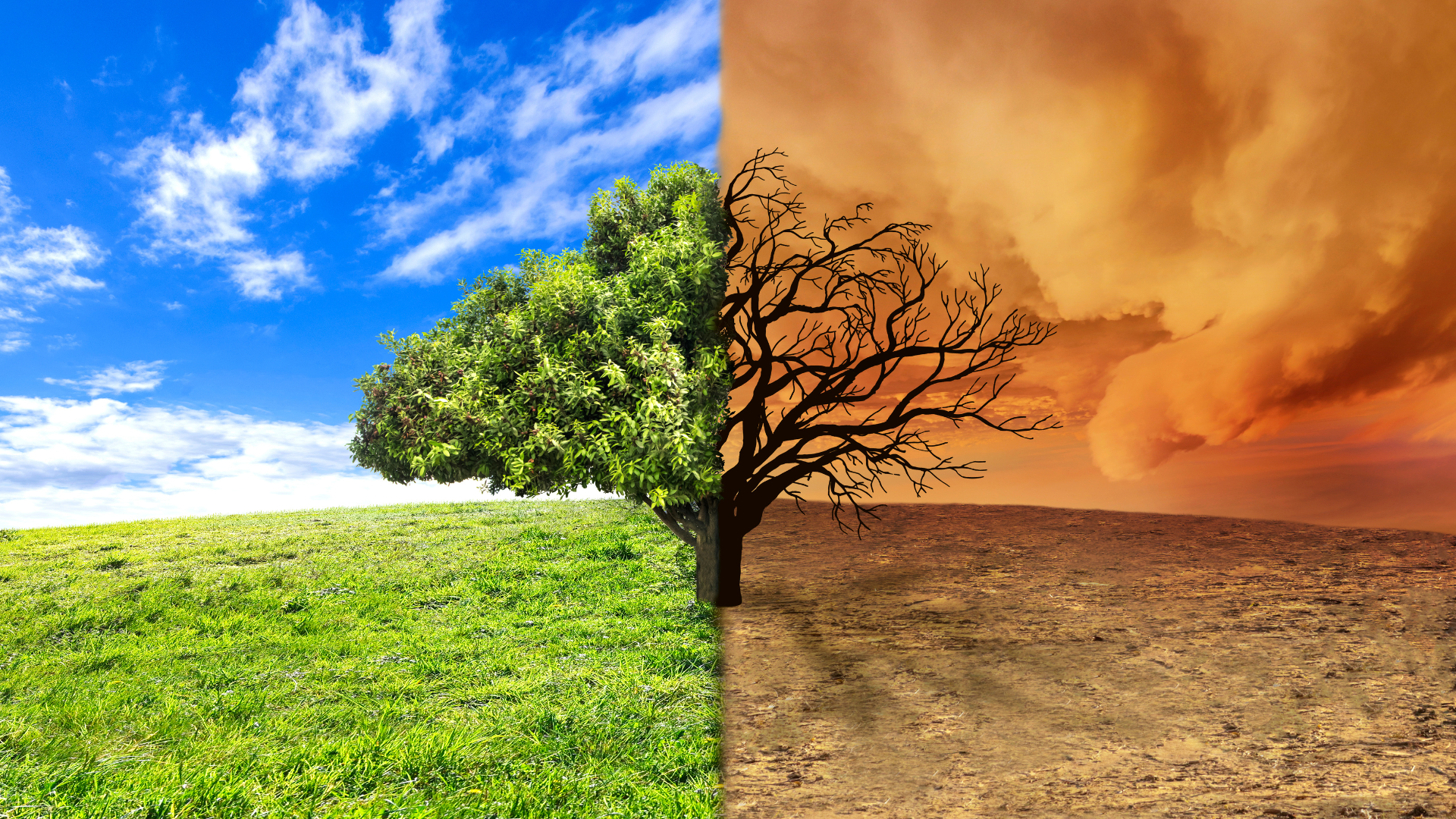 Embracing Change: How Letting Go Leads to Achieving More